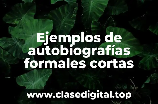 Ejemplos de autobiografías formales cortas