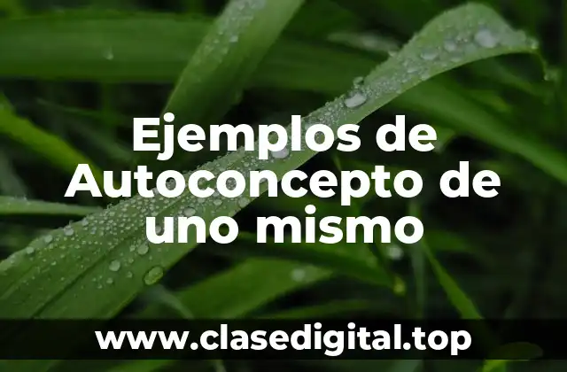 Ejemplos de Autoconcepto de uno mismo