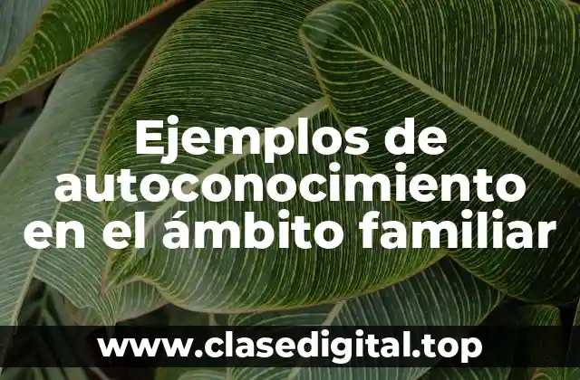 Ejemplos de autoconocimiento en el ámbito familiar