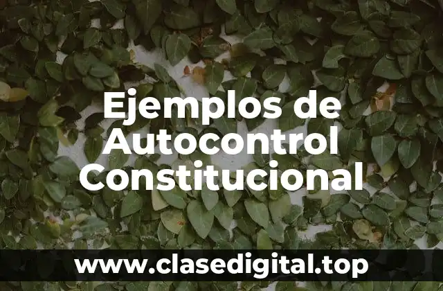 Ejemplos de Autocontrol Constitucional