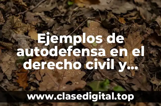 Ejemplos de autodefensa en el derecho civil y Significado