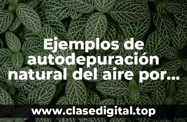 Ejemplos de autodepuración natural del aire por deposición