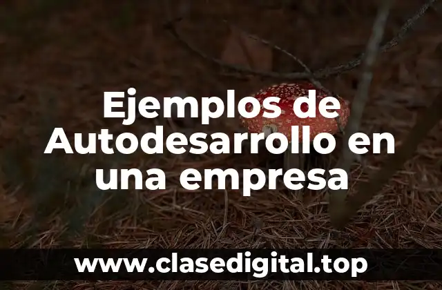 Ejemplos de Autodesarrollo en una empresa