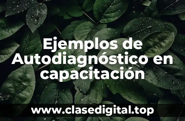 Ejemplos de Autodiagnóstico en capacitación