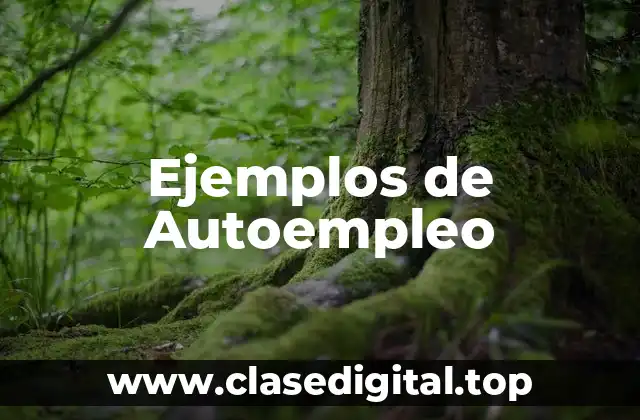 Ejemplos de Autoempleo