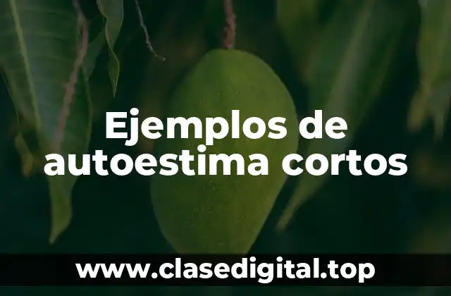 Ejemplos de autoestima cortos
