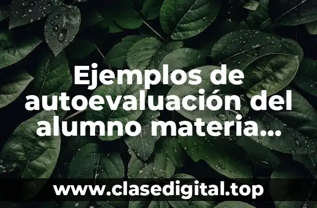 Ejemplos de autoevaluación del alumno materia inglés