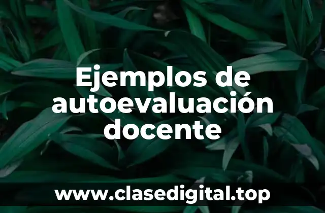 Ejemplos de autoevaluación docente