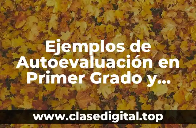 Ejemplos de Autoevaluación en Primer Grado