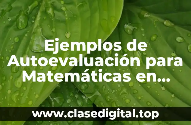 Ejemplos de Autoevaluación para Matemáticas en Primer Grado y Significado