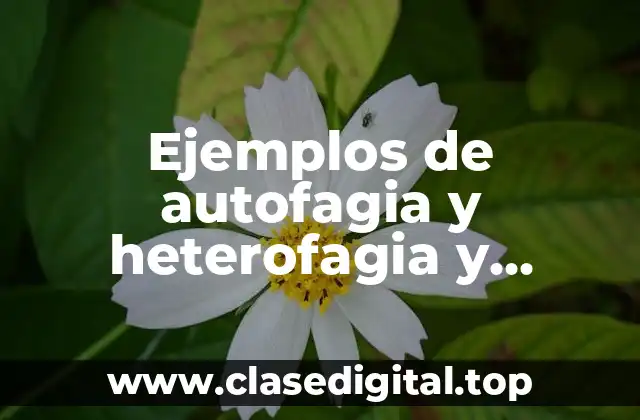 Ejemplos de autofagia y heterofagia y Significado