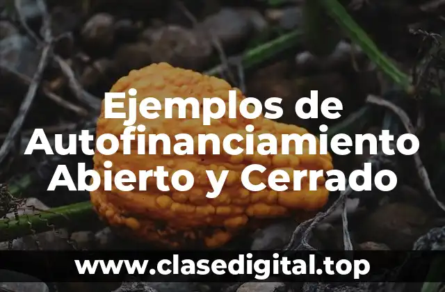 Ejemplos de Autofinanciamiento Abierto y Cerrado