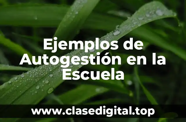 Ejemplos de Autogestión en la Escuela