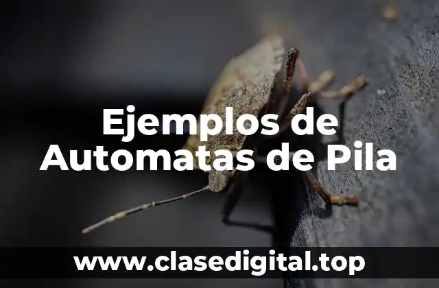 Ejemplos de Automatas de Pila