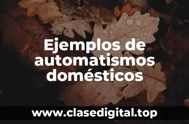 Ejemplos de automatismos domésticos