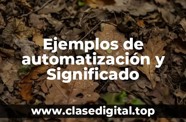 Ejemplos de automatización y Significado