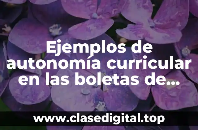 Ejemplos de autonomía curricular en las boletas de observaciones preescolar y Significado