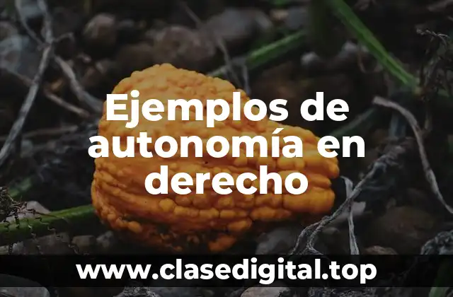 Ejemplos de autonomía en derecho