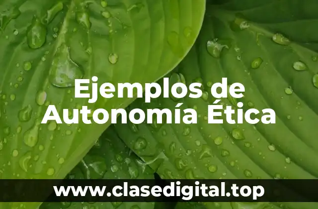 Ejemplos de Autonomía Ética