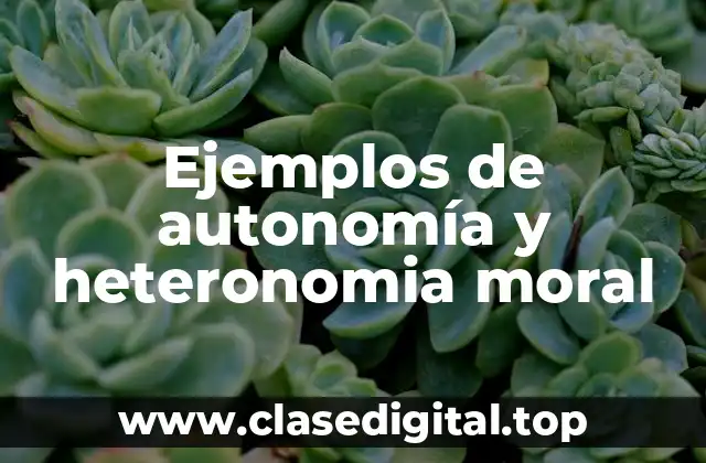 Ejemplos de autonomía y heteronomia moral