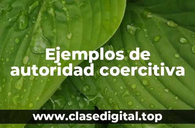 Ejemplos de autoridad coercitiva