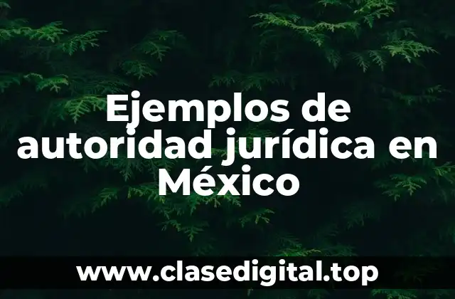 Ejemplos de autoridad jurídica en México