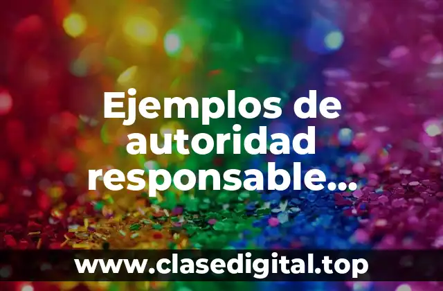 Ejemplos de autoridad responsable particulares