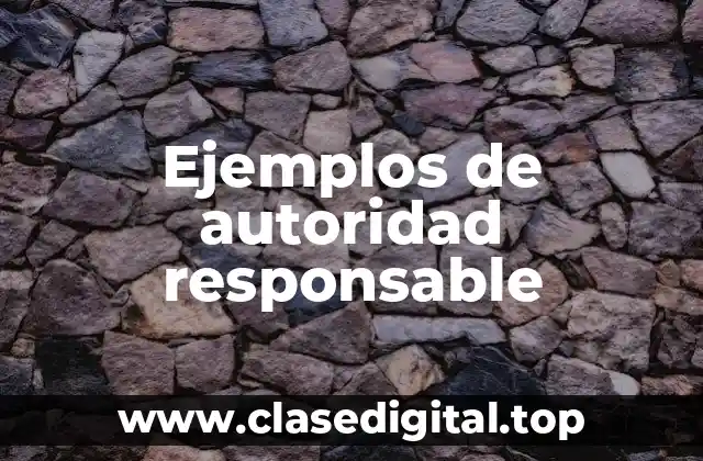Ejemplos de autoridad responsable