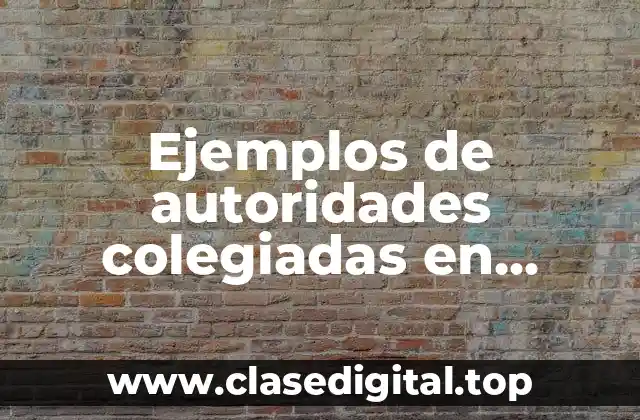 Ejemplos de autoridades colegiadas en México