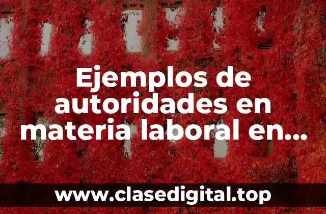 Ejemplos de autoridades en materia laboral en México
