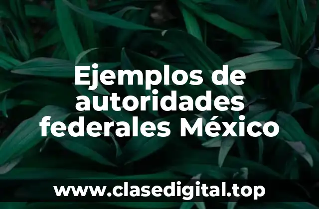 Ejemplos de autoridades federales México