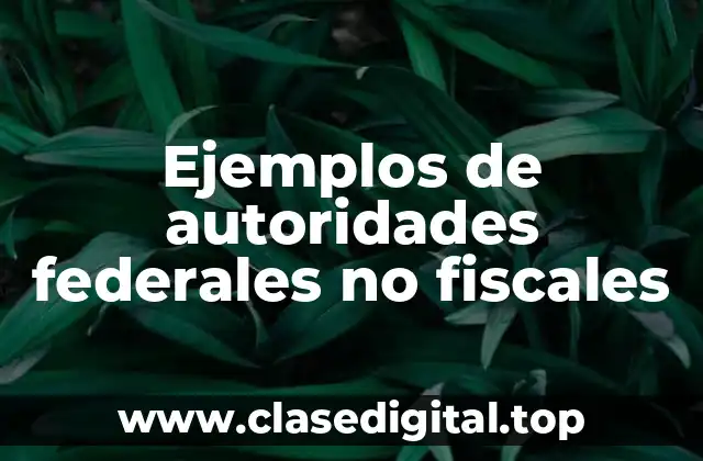 Ejemplos de autoridades federales no fiscales