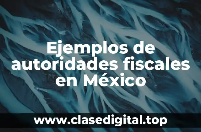 Ejemplos de autoridades fiscales en México