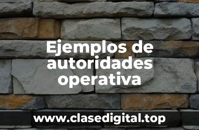 Ejemplos de autoridades operativa