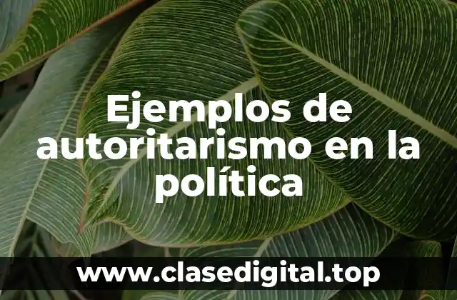 Ejemplos de autoritarismo en la política