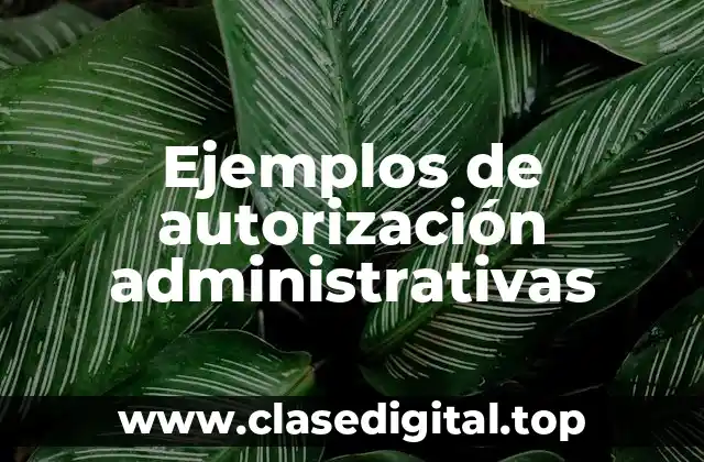 Ejemplos de autorización administrativas