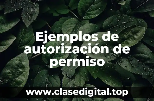Ejemplos de autorización de permiso
