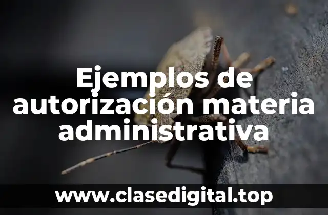Ejemplos de autorización materia administrativa