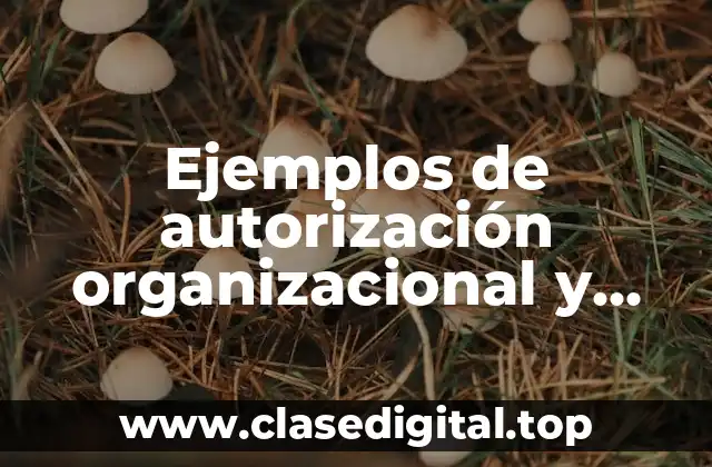 Ejemplos de autorización organizacional y Significado