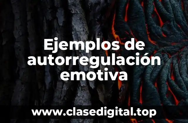Ejemplos de autorregulación emotiva
