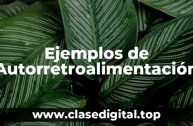 Ejemplos de Autorretroalimentación