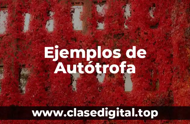 Ejemplos de Autótrofa