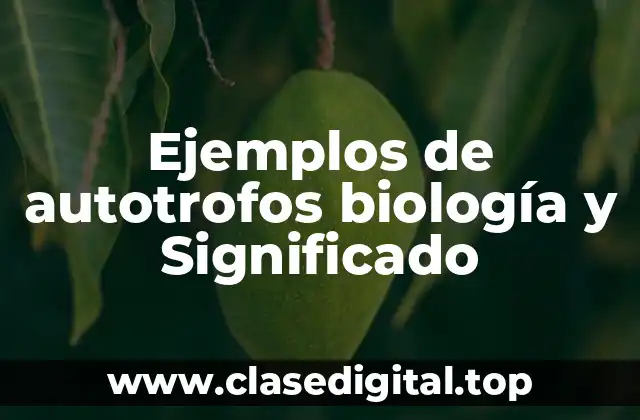 Ejemplos de autotrofos biología