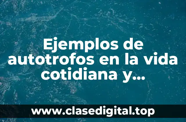 Ejemplos de autotrofos en la vida cotidiana y Significado