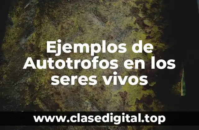 Ejemplos de Autotrofos en los seres vivos