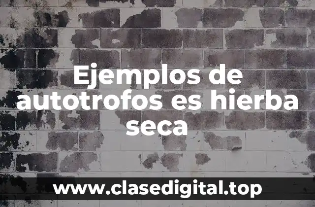 Ejemplos de autotrofos es hierba seca