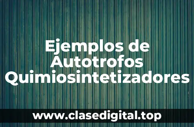 Ejemplos de Autotrofos Quimiosintetizadores