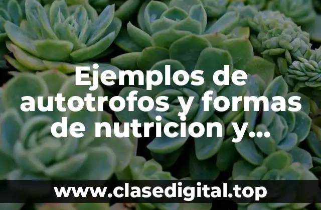 Ejemplos de autotrofos y formas de nutricion y Significado