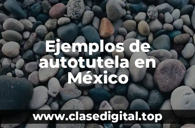 Ejemplos de autotutela en México