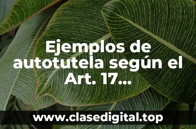 Ejemplos de autotutela según el Art. 17 Constitucional